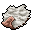 white deer skin