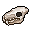 werebear skull