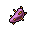 prickly pear