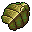 beetle carapace
