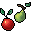 fresh fruit