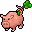 lucky pig