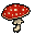 fly agaric