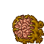 brain head