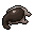 pale worm's scalp