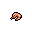 shrimp