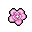 wafer paper flower