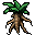 mandrake