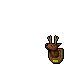 deer trophy