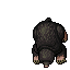 Mole