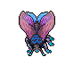 Hibernal Moth