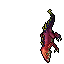 Adult Goanna