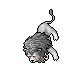 White Lion