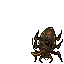 Mycobiontic Beetle