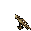 Mitmah Scout