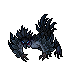 Day Night Harpy