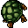 Freshwater Turtle