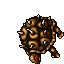 Thornback Tortoise