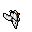 Seagull