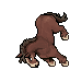 Brown Horse