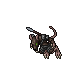 Corym Skirmisher