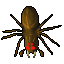 Old Giant Spider