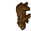 Old Bear
