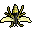 Old Wasp
