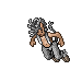 Arctic Faun